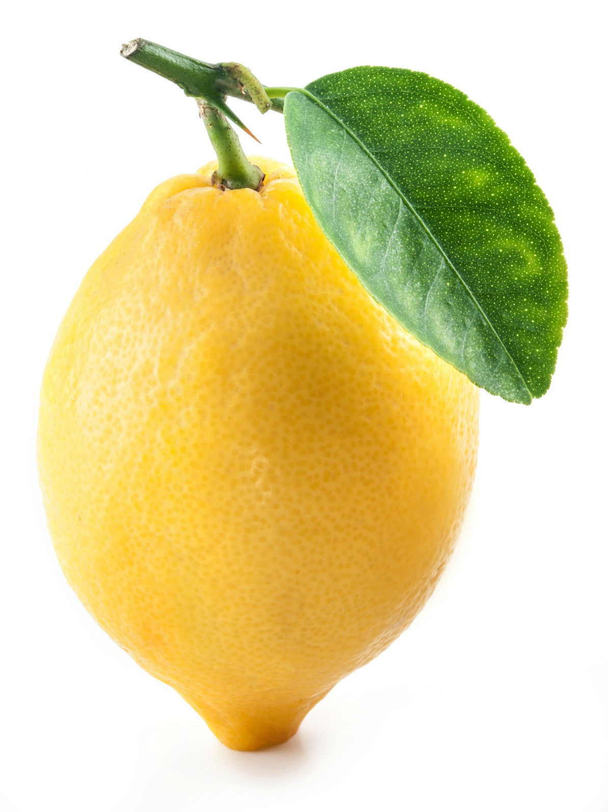 Essential Oil Lemon - Organic (Italy) 12 ml, 36 ml or 50 ml